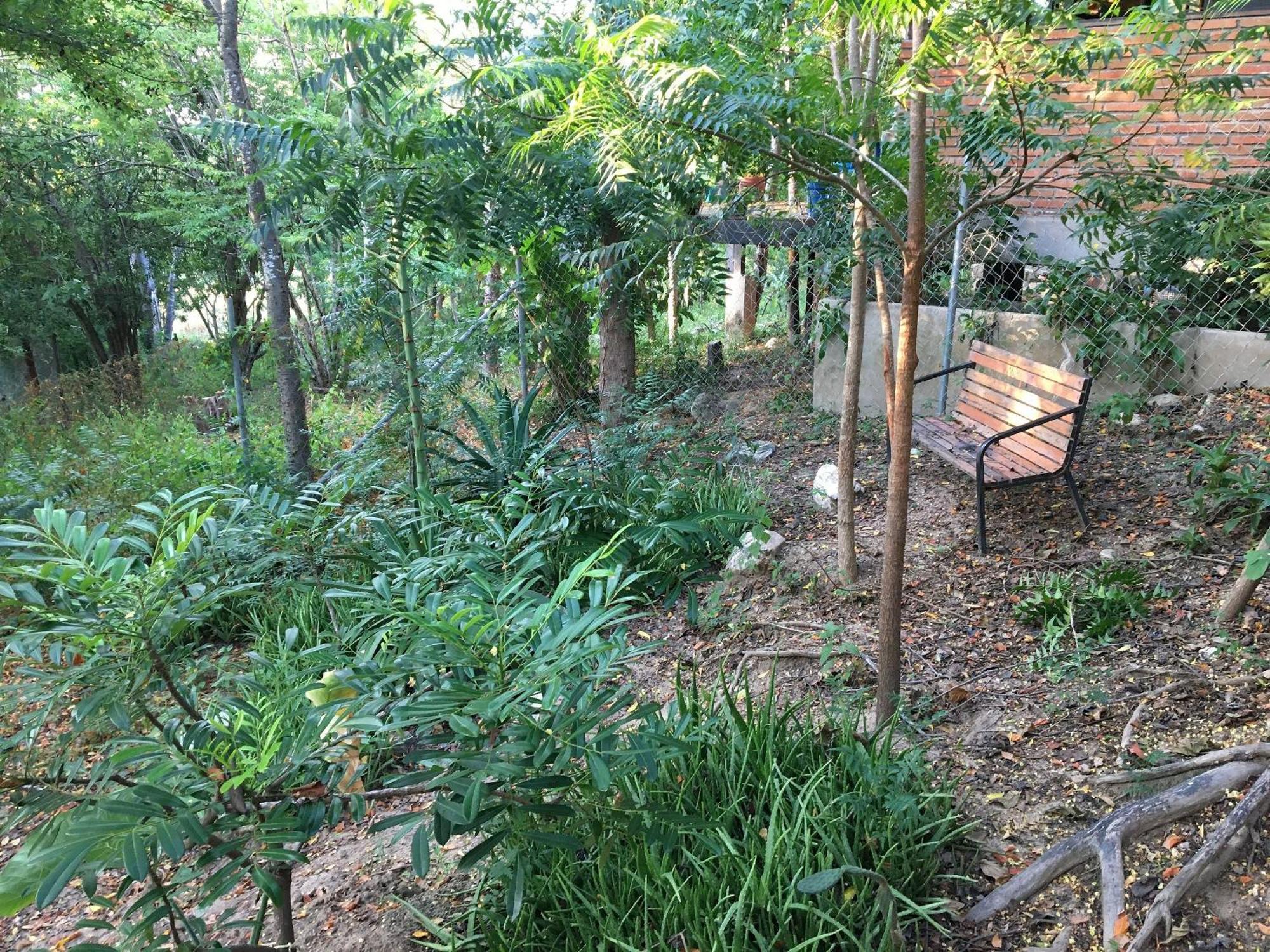 Centro Sati Bungalow Cuatunalco Luaran gambar